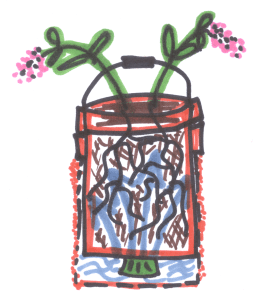 Self-watering bucket container diagram